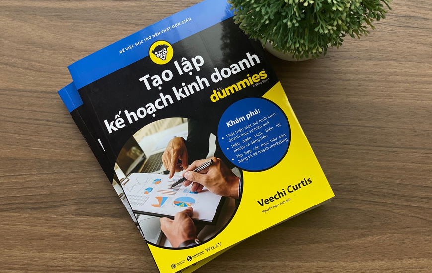 Sách Tạo Lập Kế Hoạch Kinh Doanh For Dummies. Tác giả Veechi Curtis