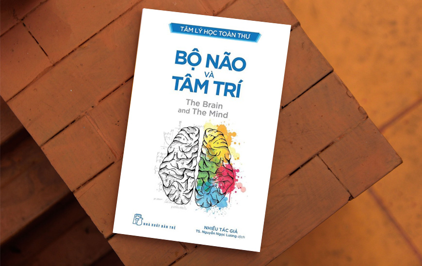 Tâm Lý Học Toàn Thư - Bộ Não Và Tâm Trí