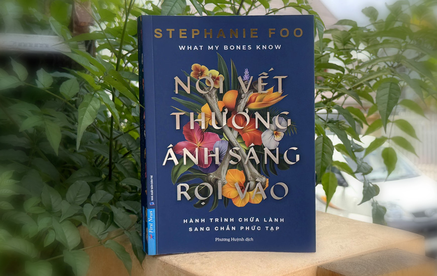 Nơi Vết Thương Ánh Sáng Rọi Vào - Stephanie Foo