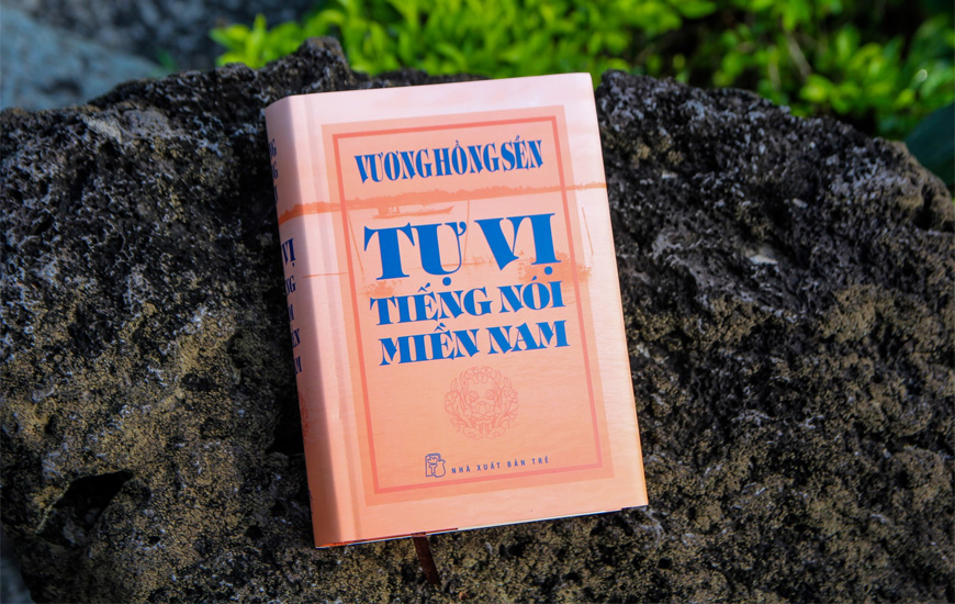 Tự Vị Tiếng Nói Miền Nam (Bìa Cứng) - Vương Hồng Sển